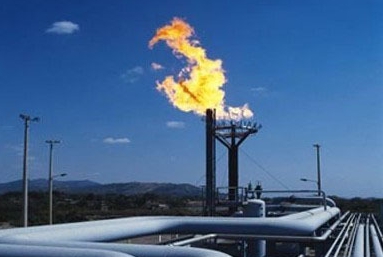 需特别说明：本文出现的内容可能因行业事件、消费者行为突变等不可控因素产生偏差