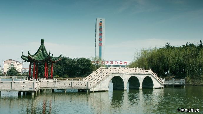 加速尼日利亚向清洁燃料转型