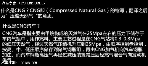参照了人类葬礼所享有的尊重